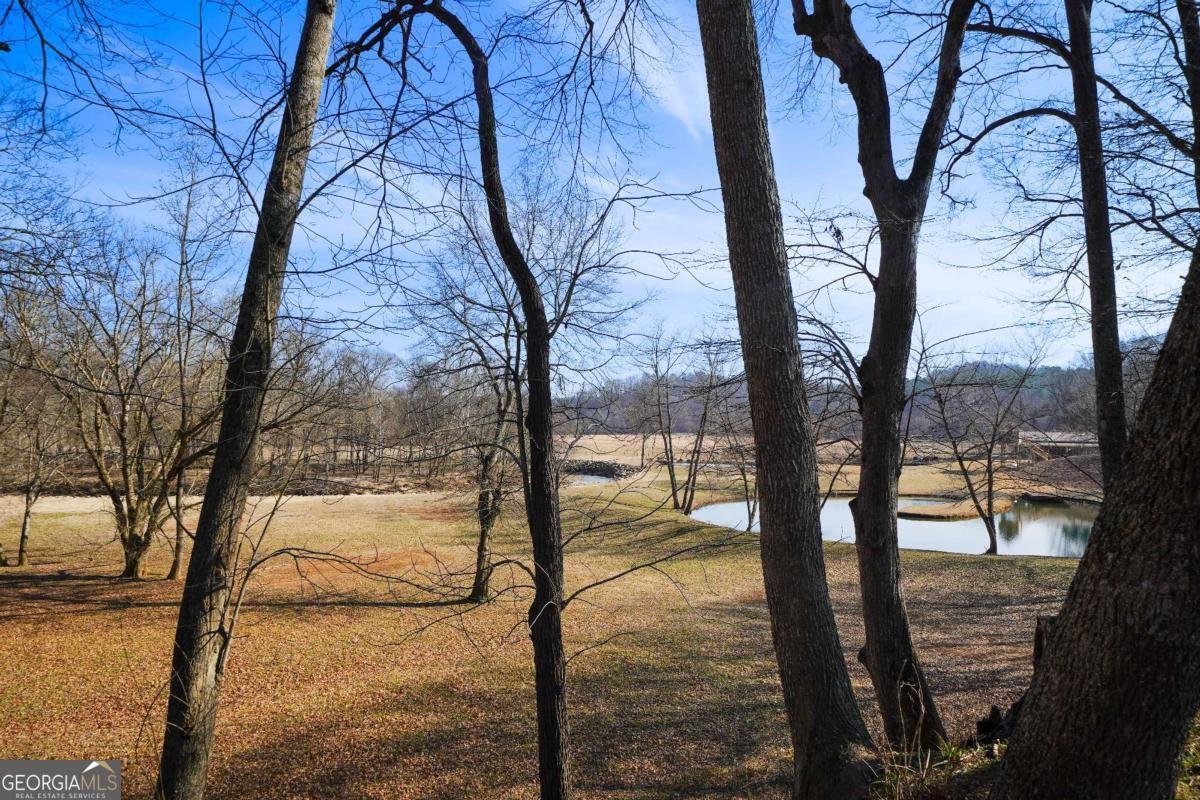 227 Bates Road Cartersville - Photo 62