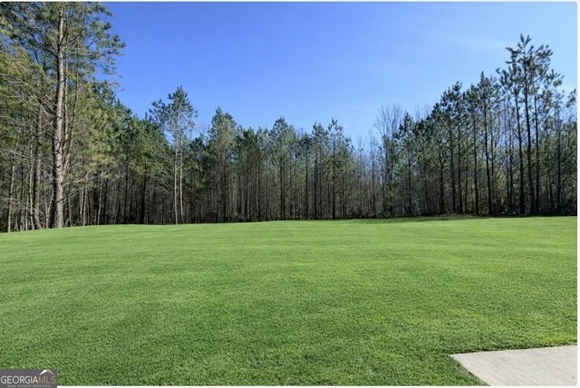 6860 Heardsville Road Cumming - Photo 20