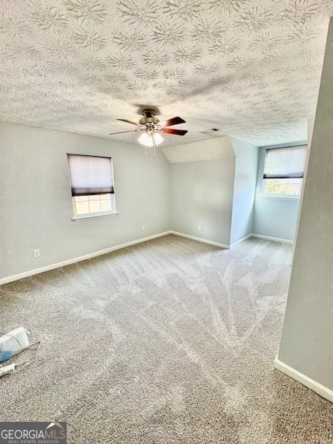 7283 White Flag Trail Lithia Springs - Photo 18