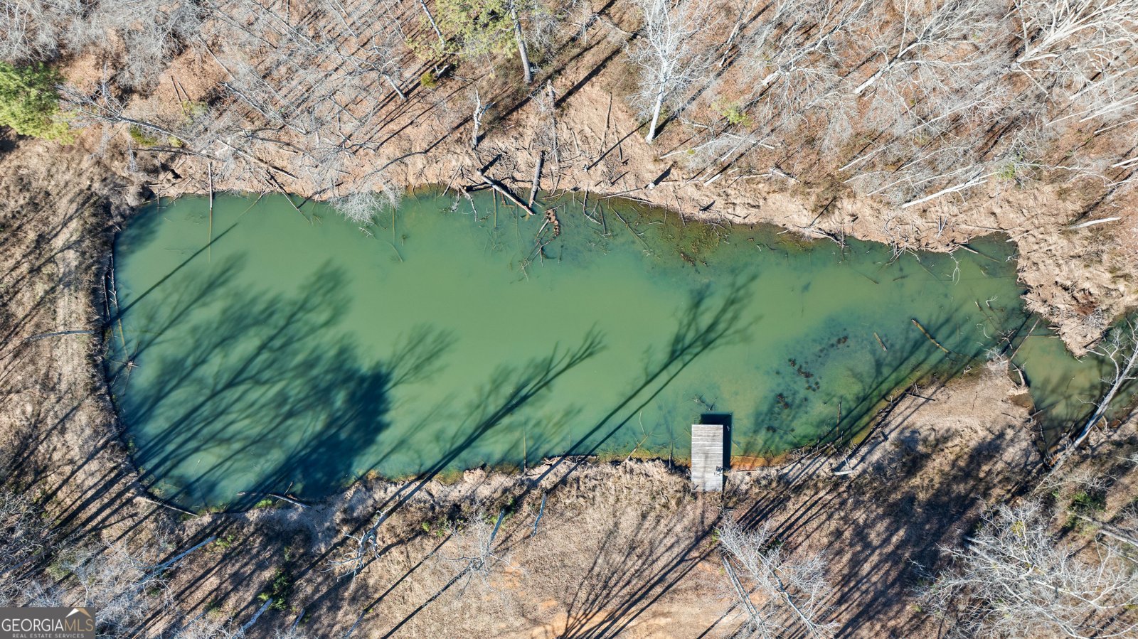 2170 Sewell Mill Road Newnan - Photo 9