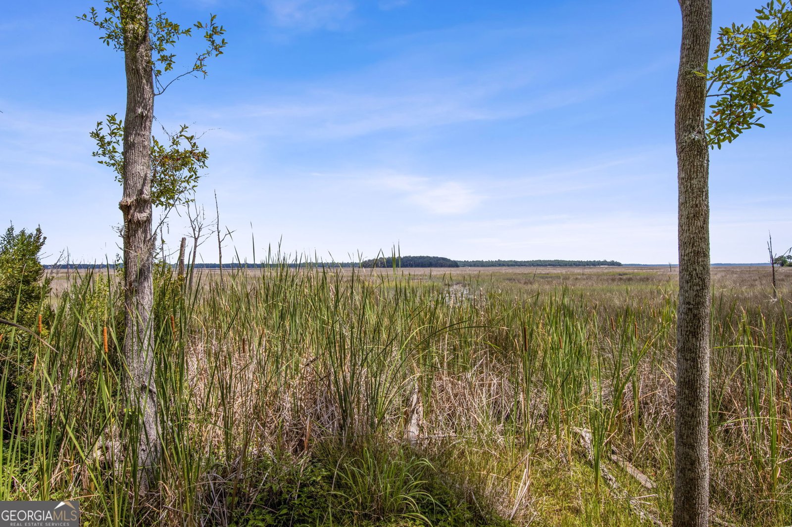 151 Laurel Marsh Way Kingsland - Photo 30