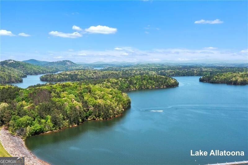 141 Old Alabama Road Emerson - Photo 32