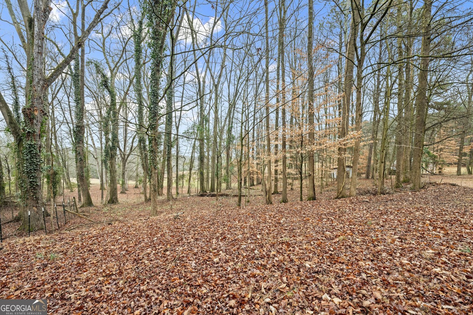 2809 Ethridge Road Jefferson - Photo 41