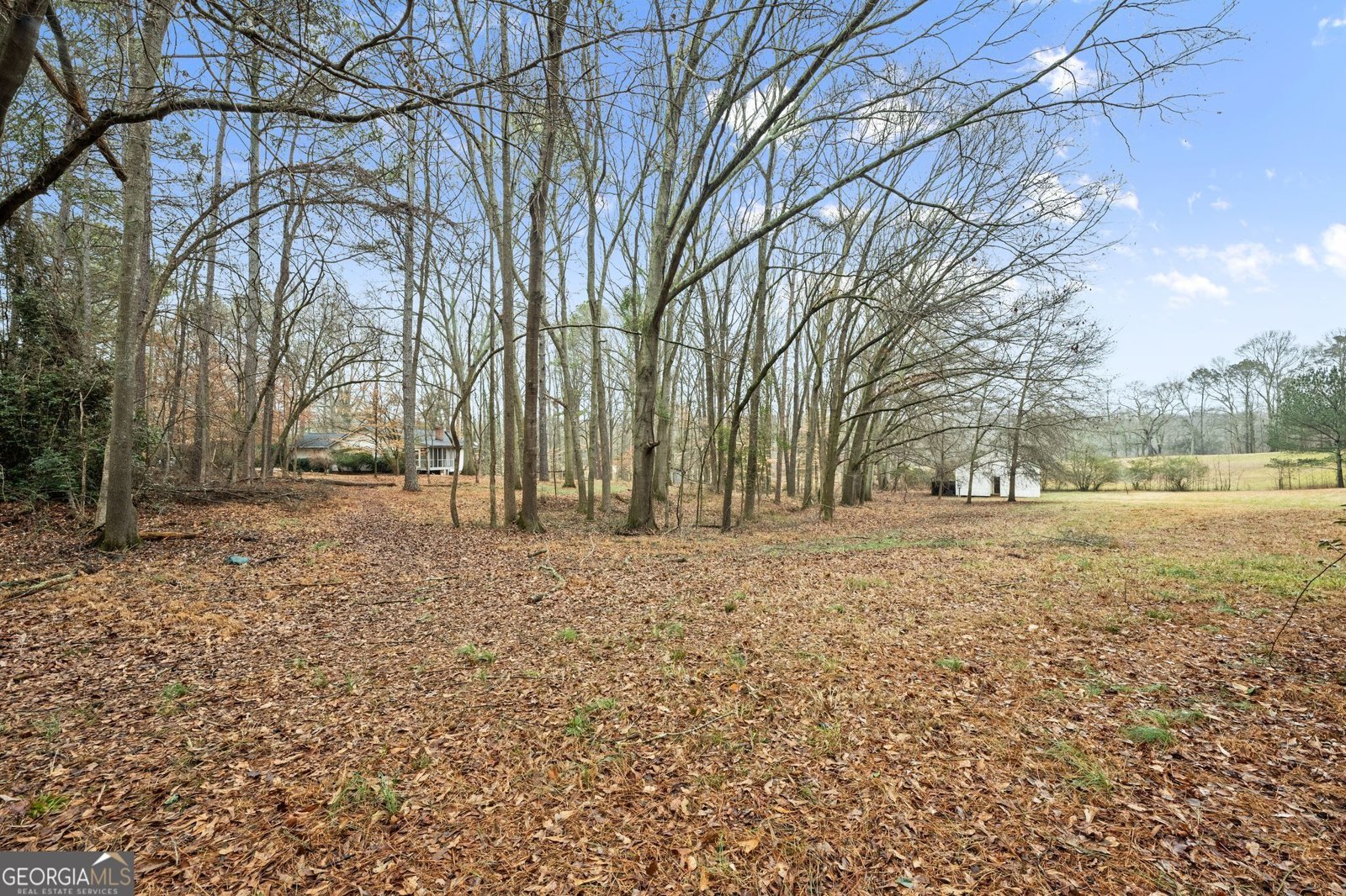 2809 Ethridge Road Jefferson - Photo 43