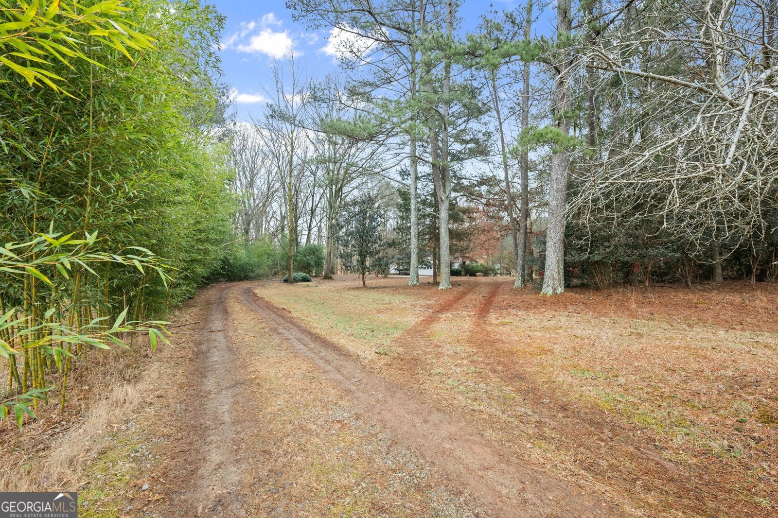 2809 Ethridge Road Jefferson - Photo 52