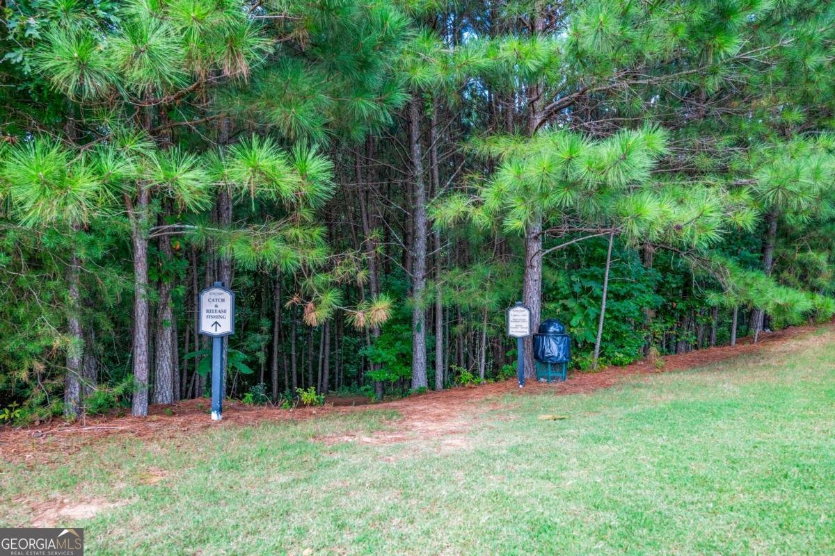 150 Jaime Drive Canton - Photo 32