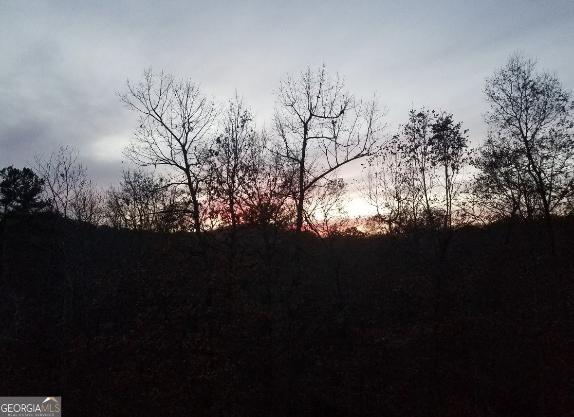 263 Hardwood Drive Cleveland - Photo 10