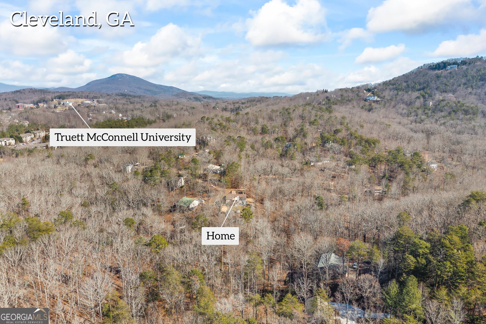 263 Hardwood Drive Cleveland - Photo 74