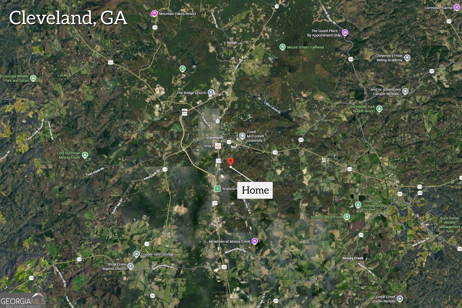 263 Hardwood Drive Cleveland - Photo 77