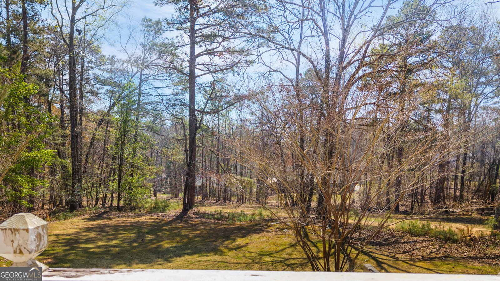 7249 confederate Lane Villa Rica - Photo 47