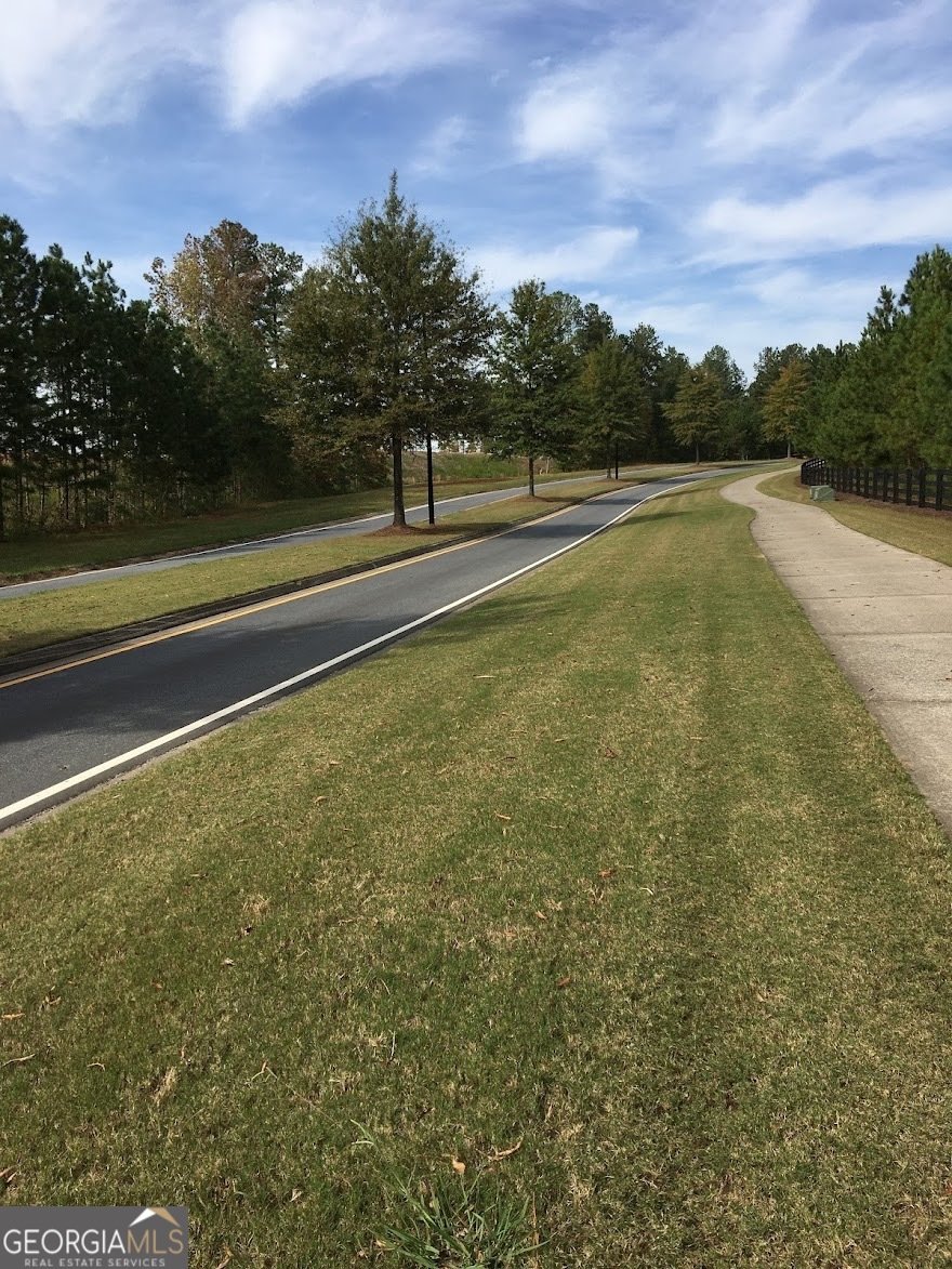 161 Stillwater Lane Dallas - Photo 69