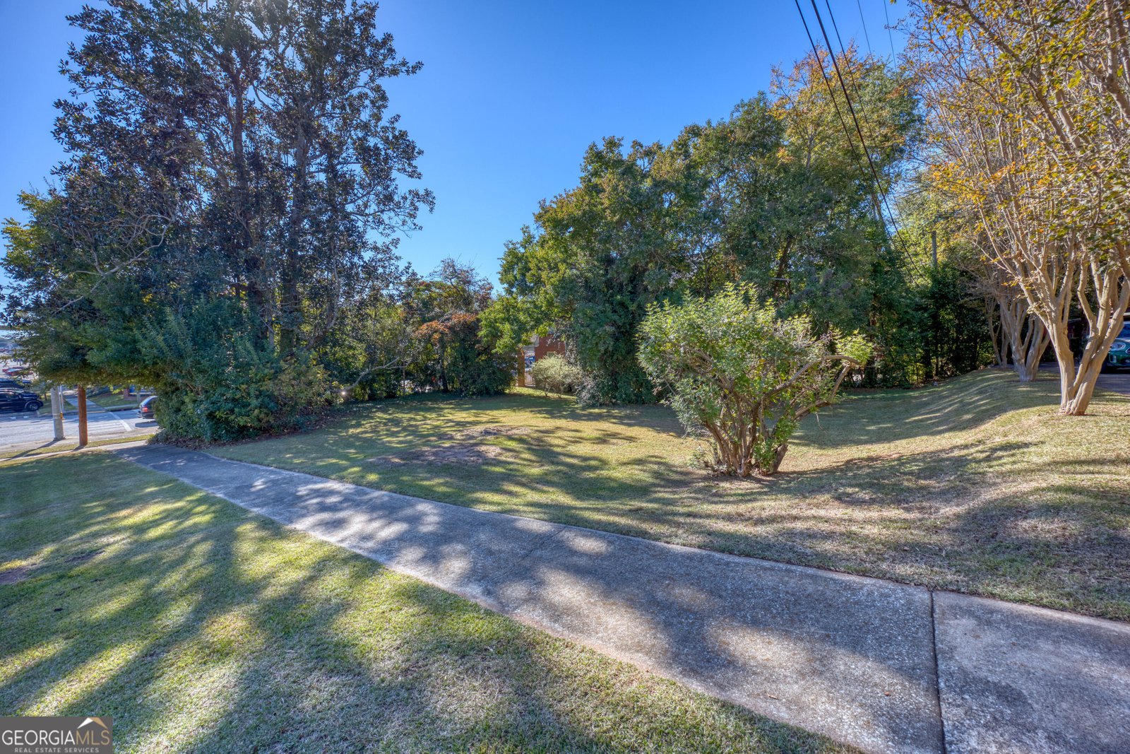 1007 4th Avenue West Point - Photo 63