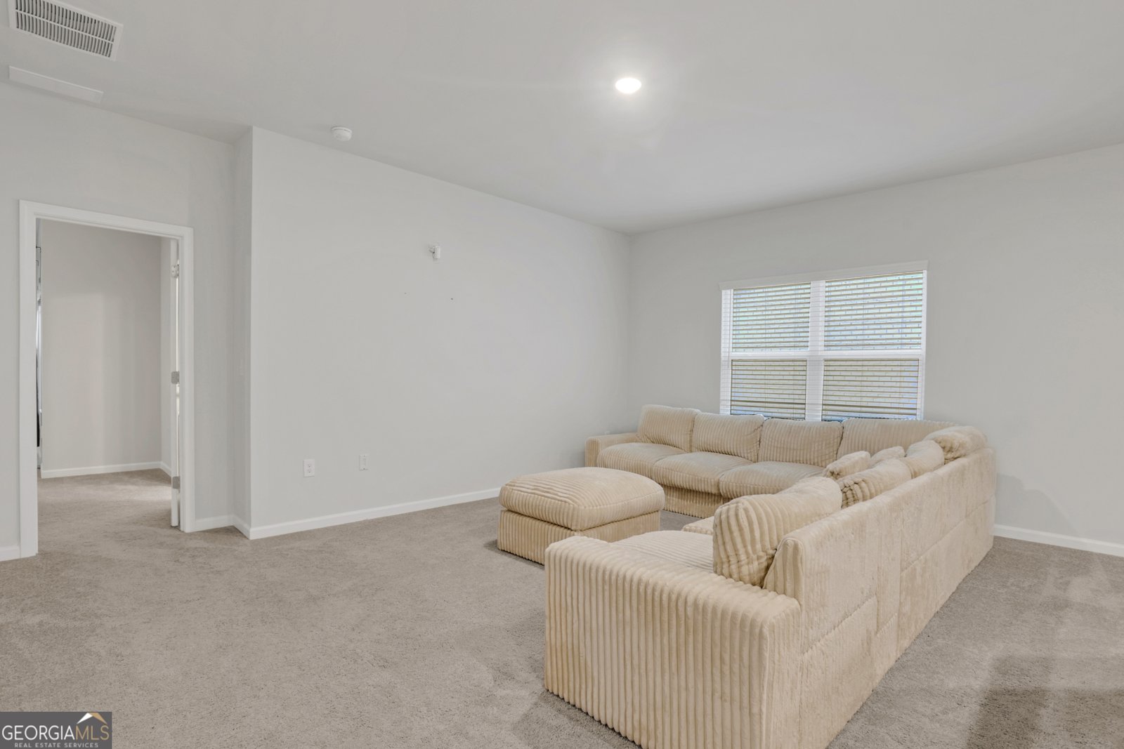 14 Green Love Lane Grayson - Photo 18