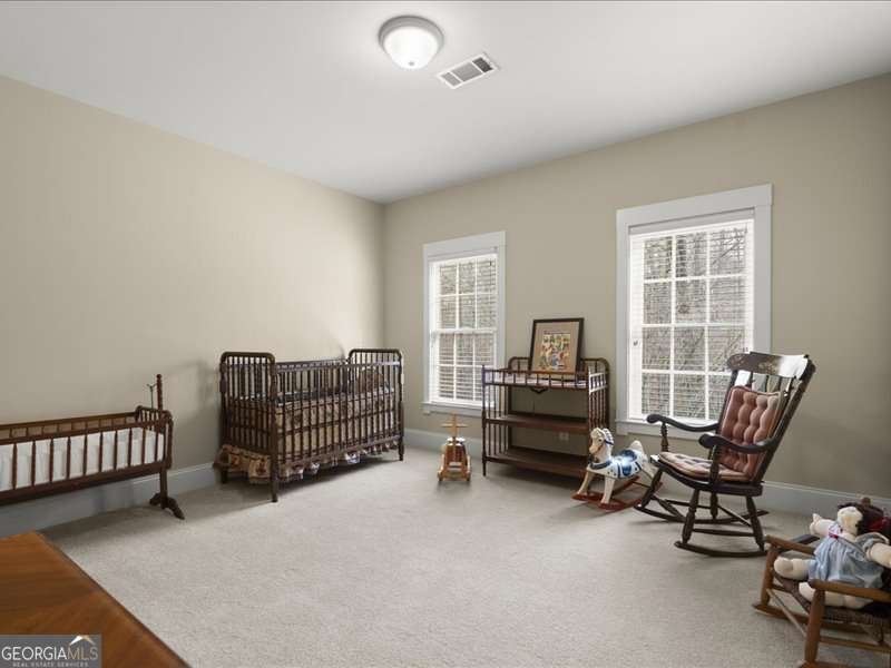 260 Old Hickory Road Woodstock - Photo 31