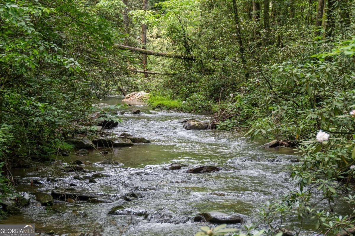 10323 Grassy Mountain Road Ellijay - Photo 63