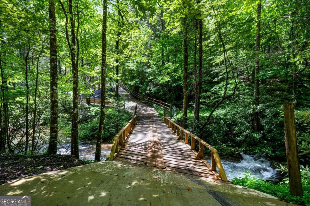 10323 Grassy Mountain Road Ellijay - Photo 66