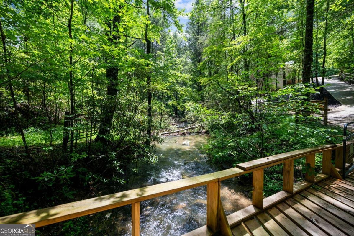 10323 Grassy Mountain Road Ellijay - Photo 67