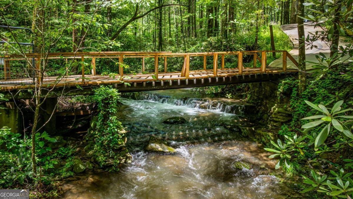 10323 Grassy Mountain Road Ellijay - Photo 73