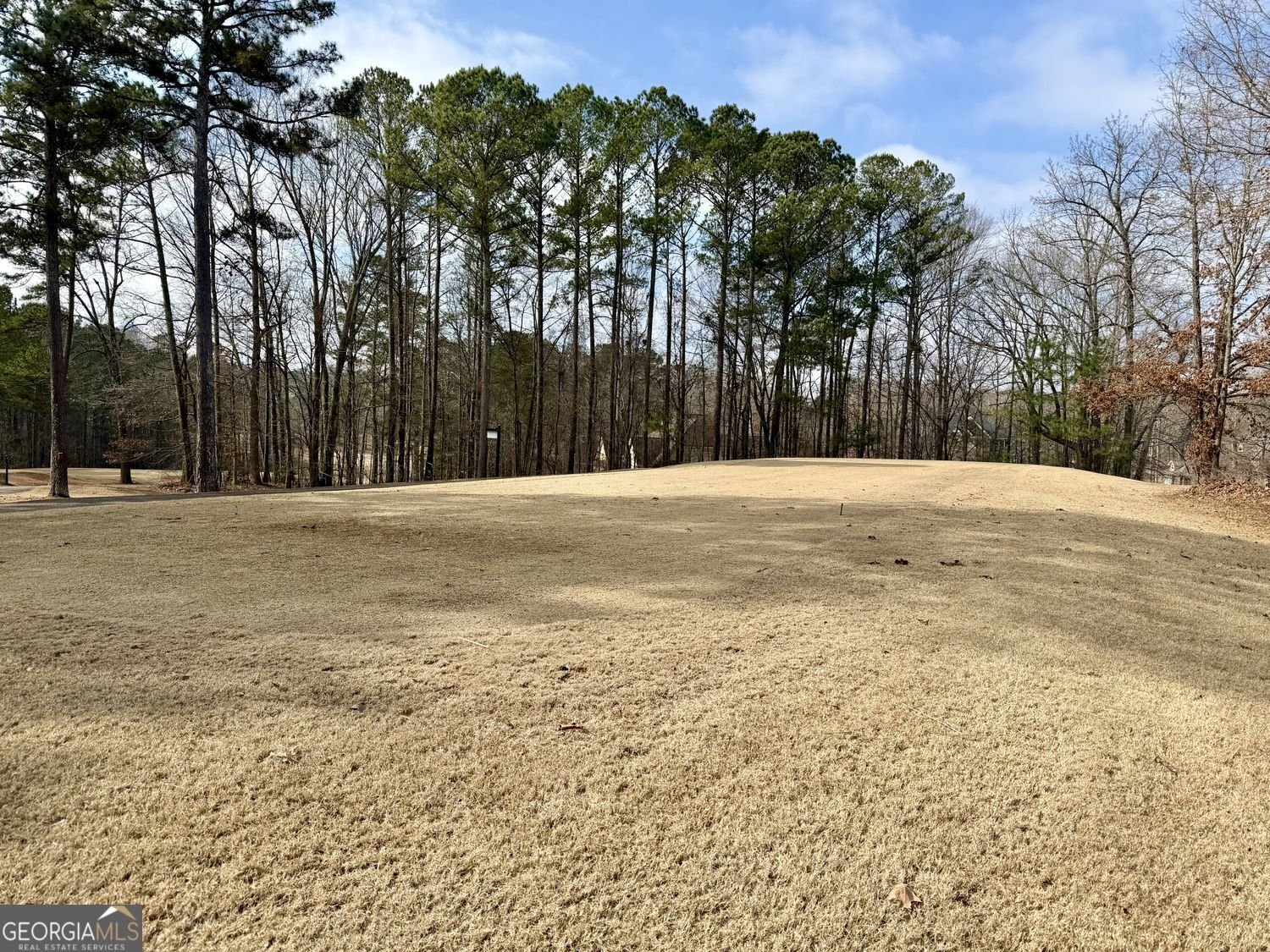 1030 Overlook Drive Villa Rica - Photo 83