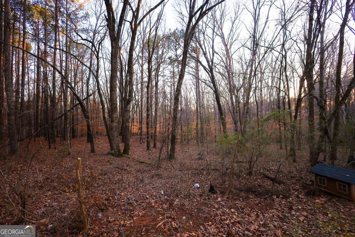 27 Hawk Trail Newborn - Photo 25