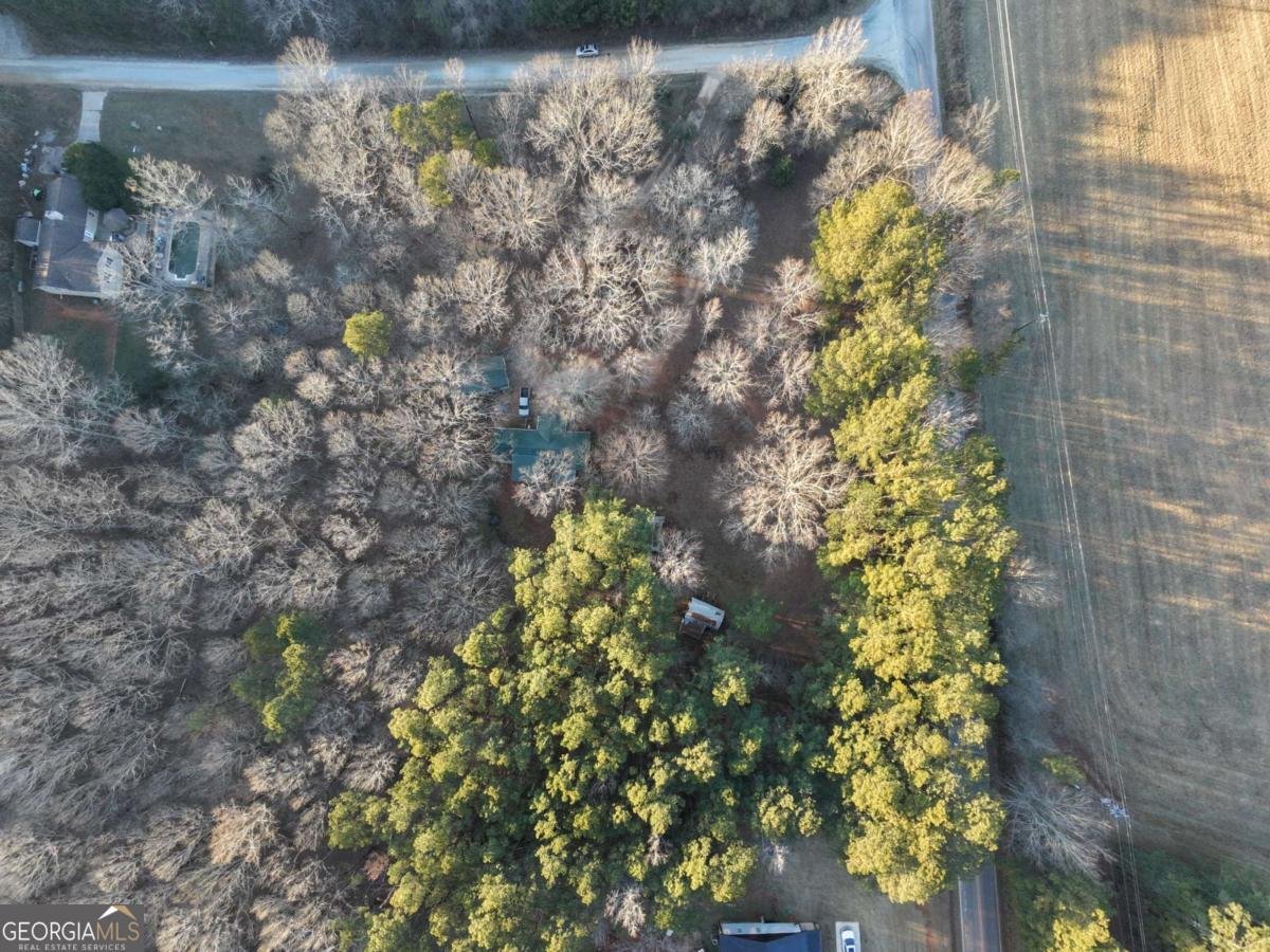 27 Hawk Trail Newborn - Photo 28