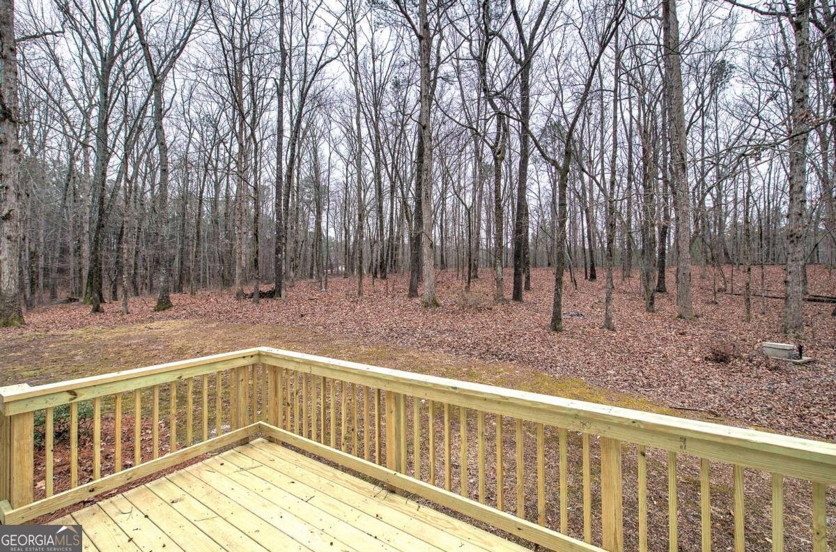 1722 Luther Bailey Road Senoia - Photo 56