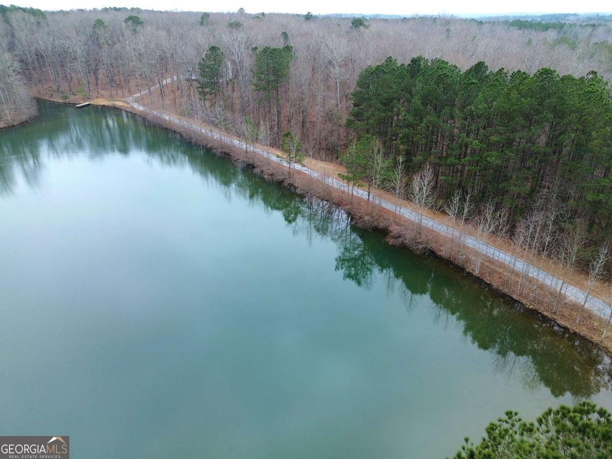 1722 Luther Bailey Road Senoia - Photo 58