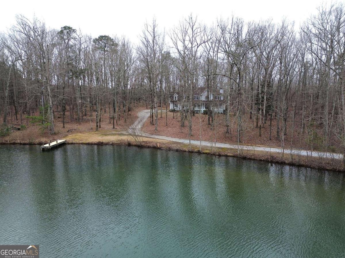 1722 Luther Bailey Road Senoia - Photo 62