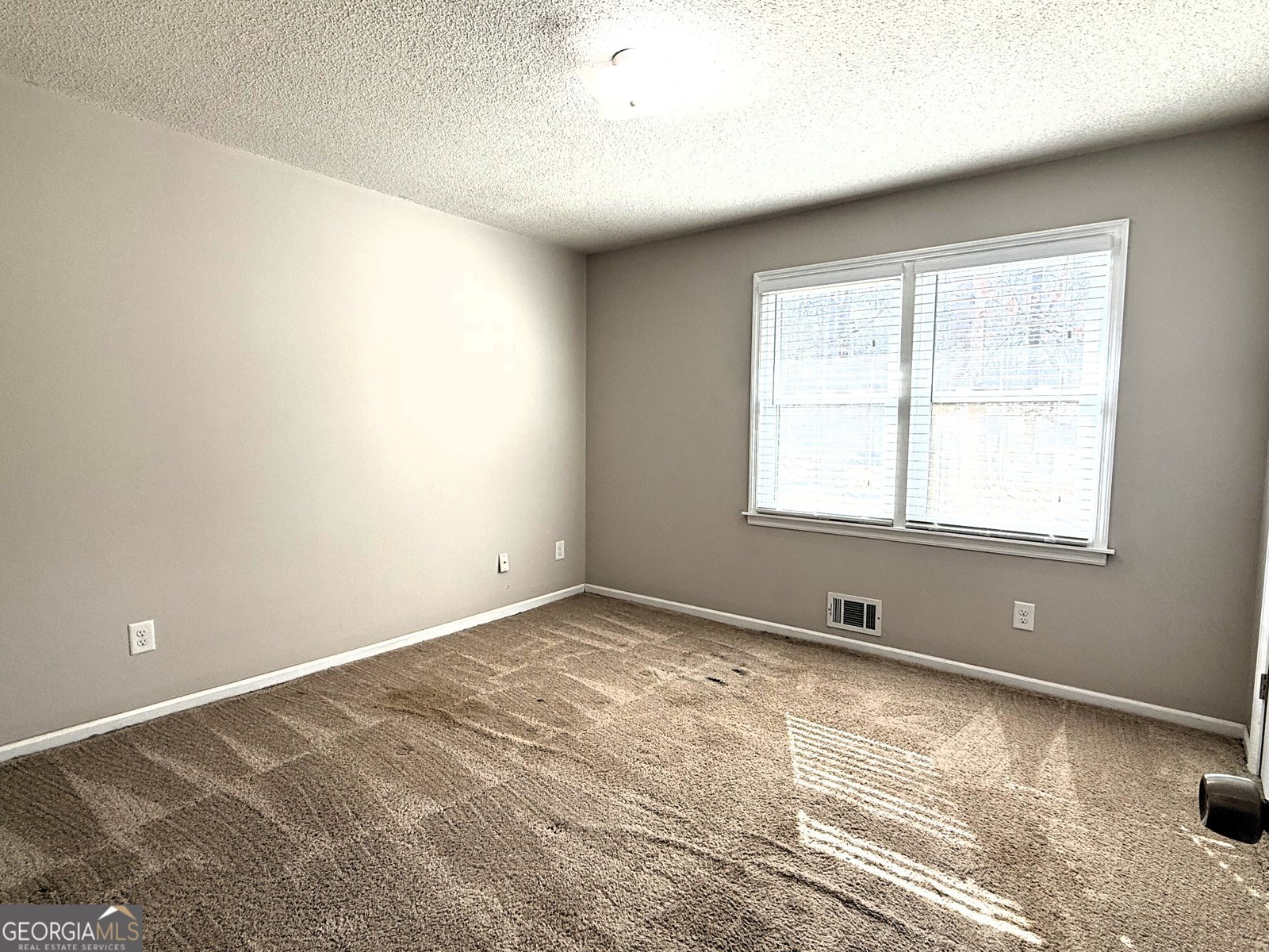 125 Pilgrim Way Newnan - Photo 19