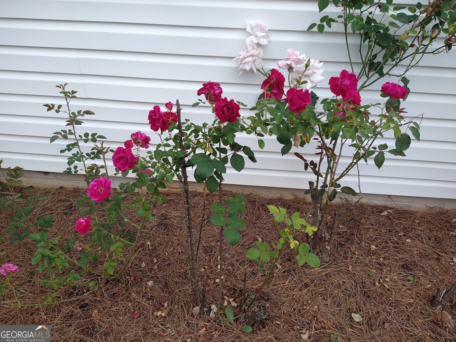 29 Mountain View Drive Toccoa - Photo 60