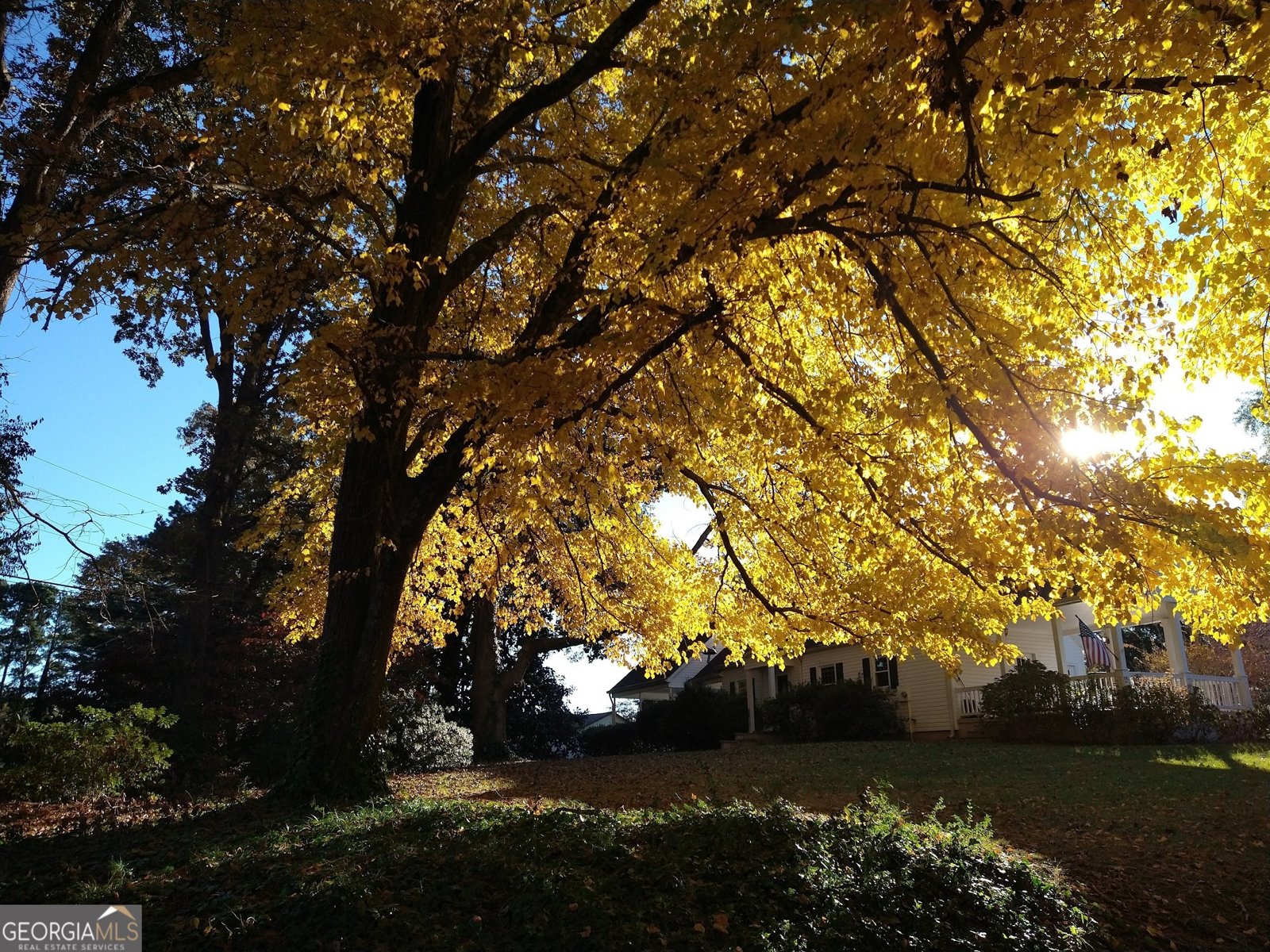 29 Mountain View Drive Toccoa - Photo 64