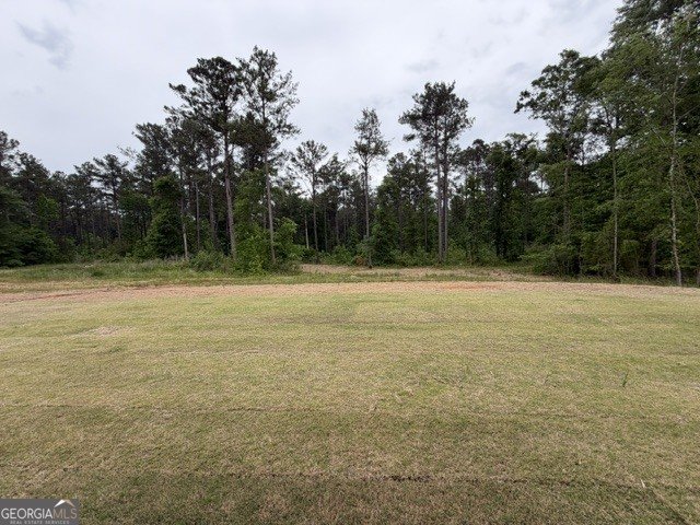 226 Robert Williams Road Pine Mountain - Photo 18