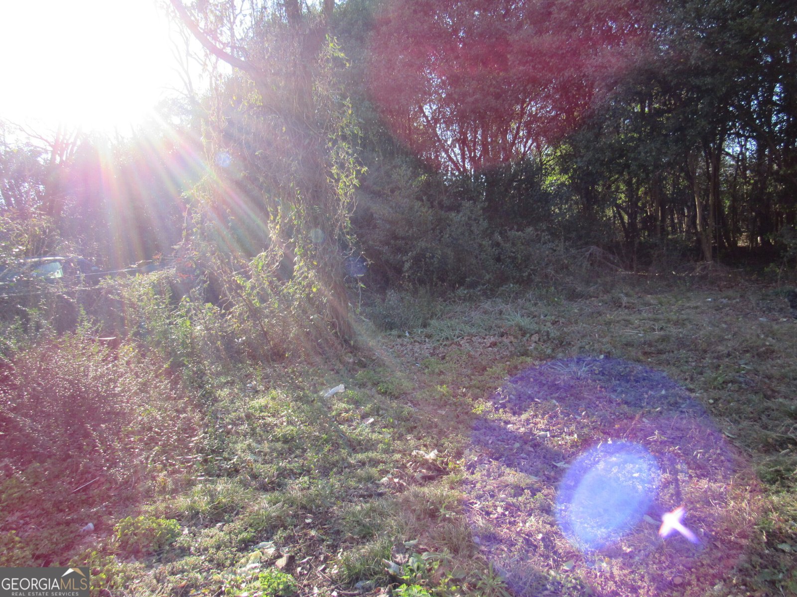 4209 Capitol Avenue Macon - Photo 39