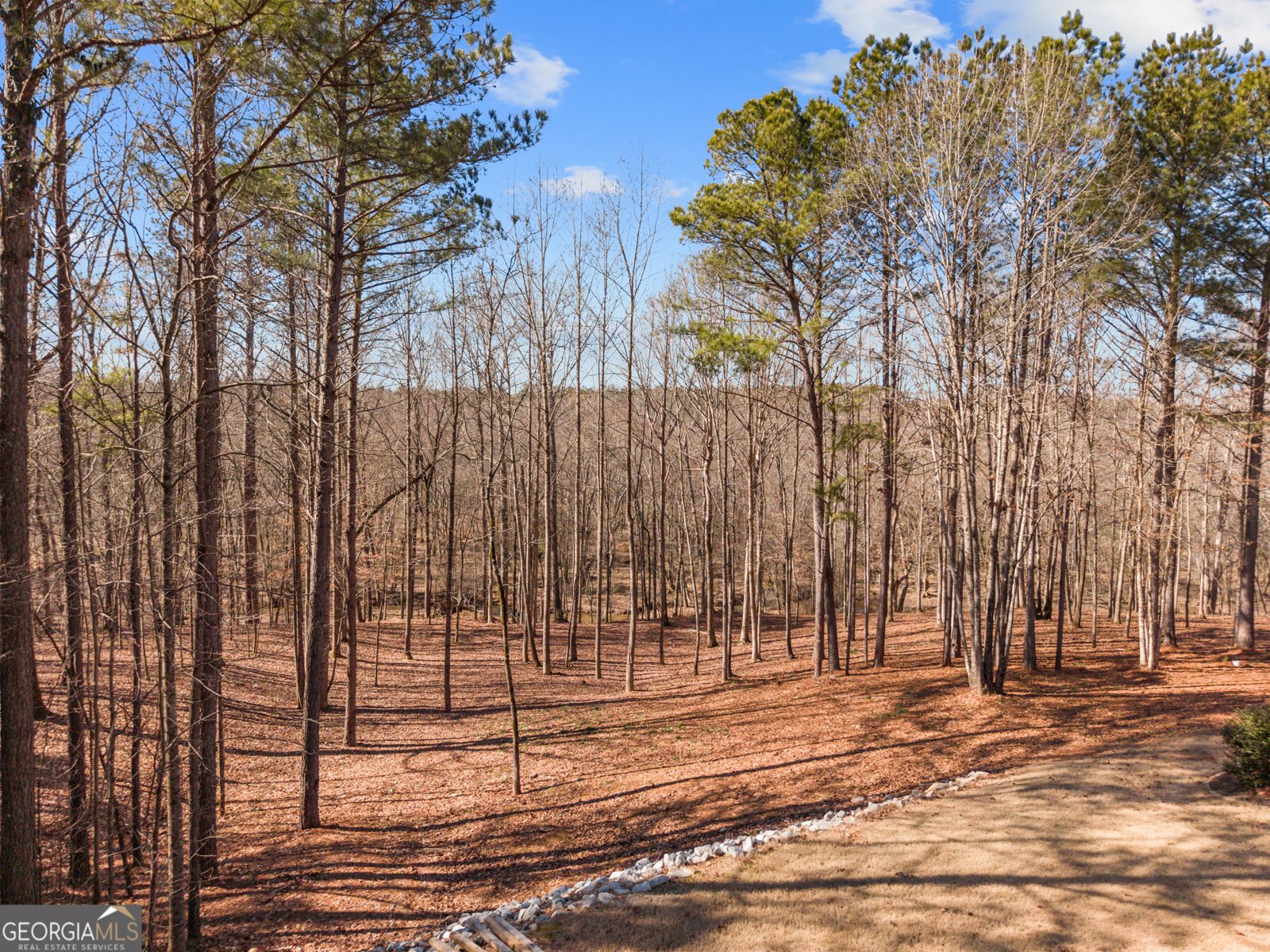 2120 Morgan Lane Covington - Photo 45