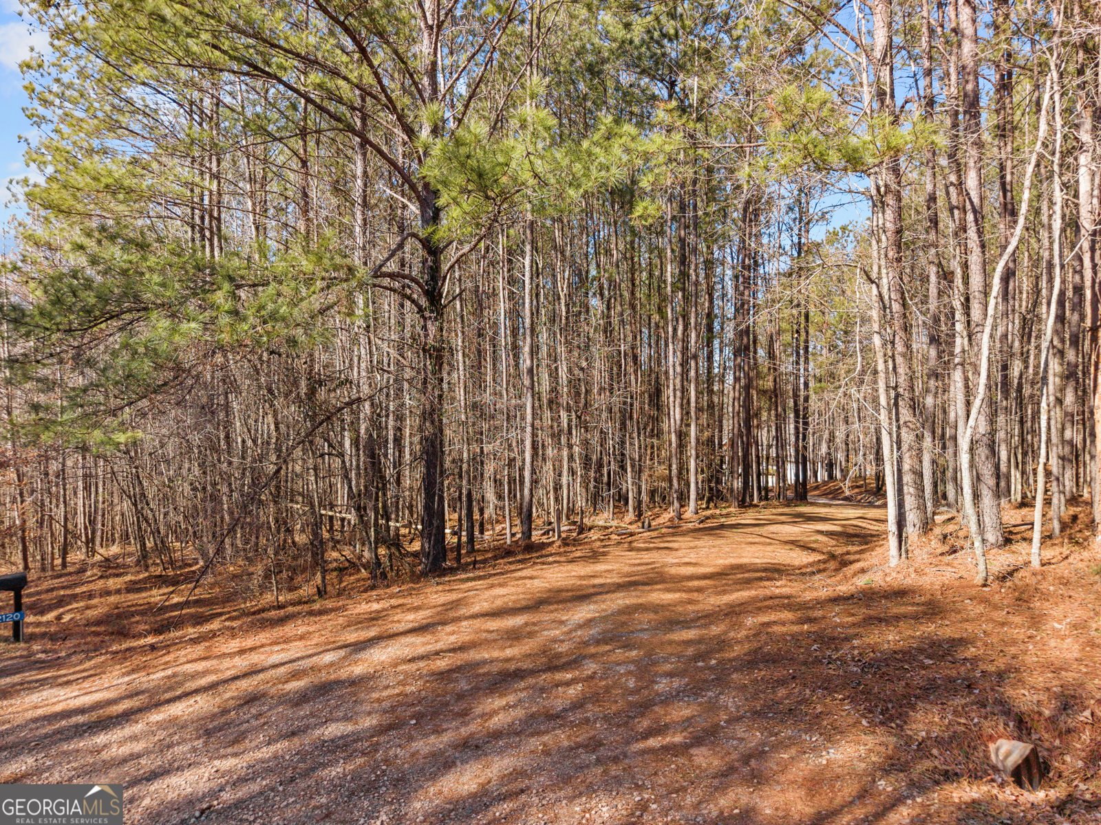 2120 Morgan Lane Covington - Photo 48