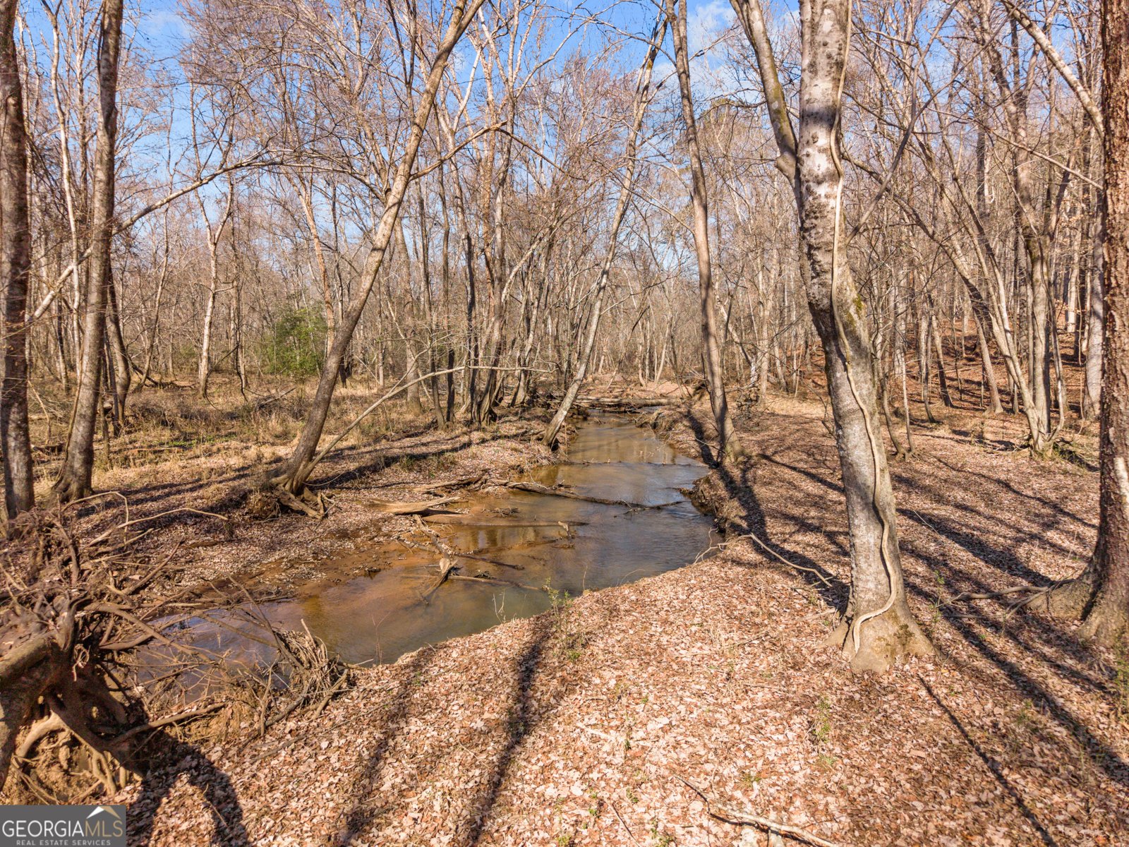 2120 Morgan Lane Covington - Photo 49