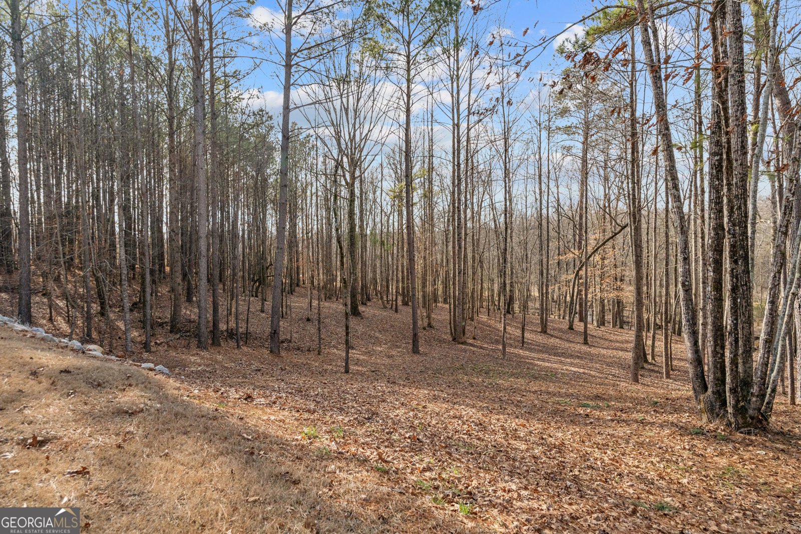 2120 Morgan Lane Covington - Photo 51