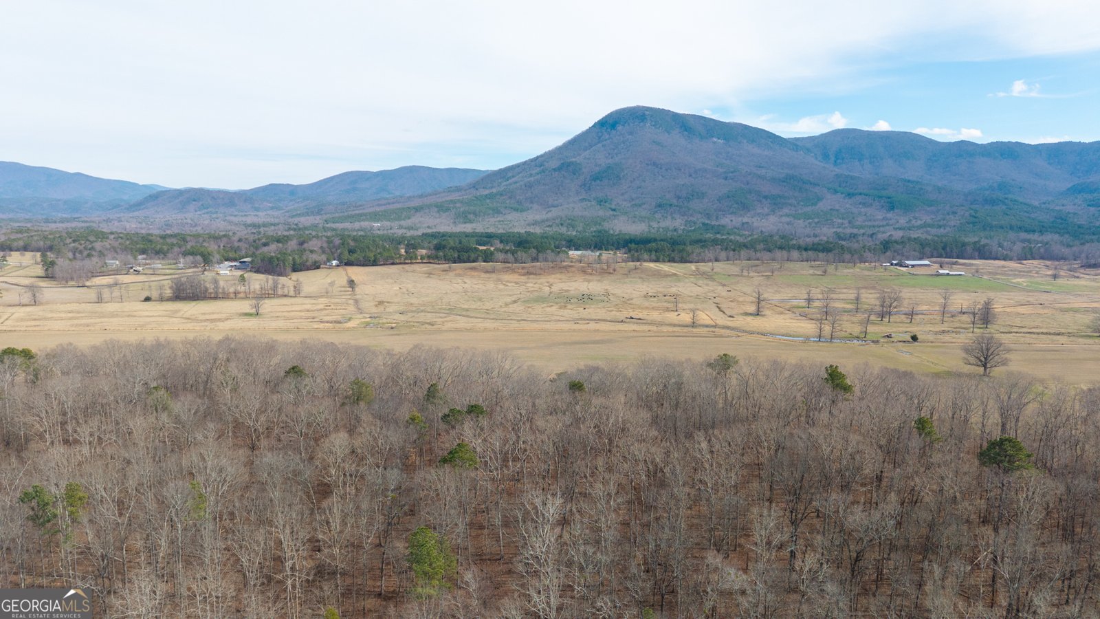 1340 Hyden Tyler Road Chatsworth - Photo 36