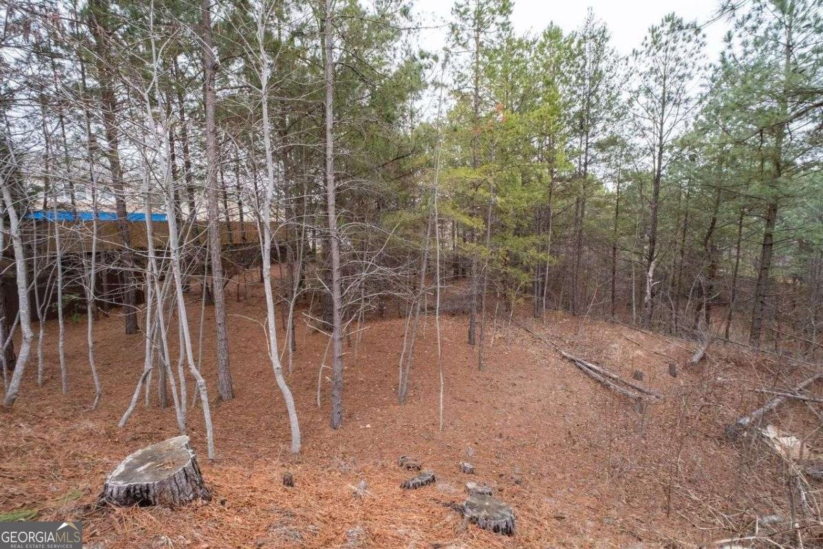 3711 Ridge Bluff Ovlk Gainesville - Photo 36