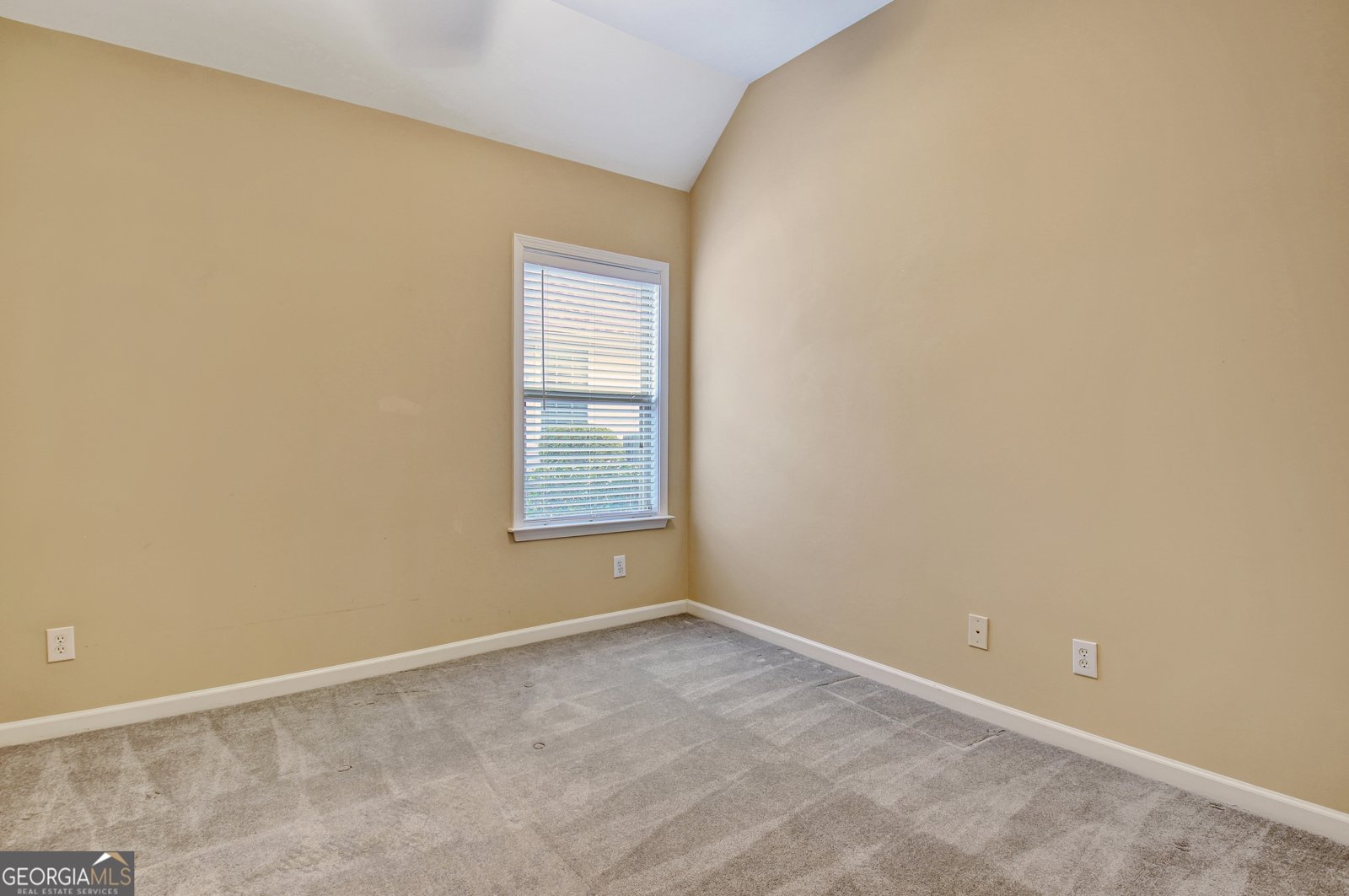 119 Greenview Drive Newnan - Photo 40