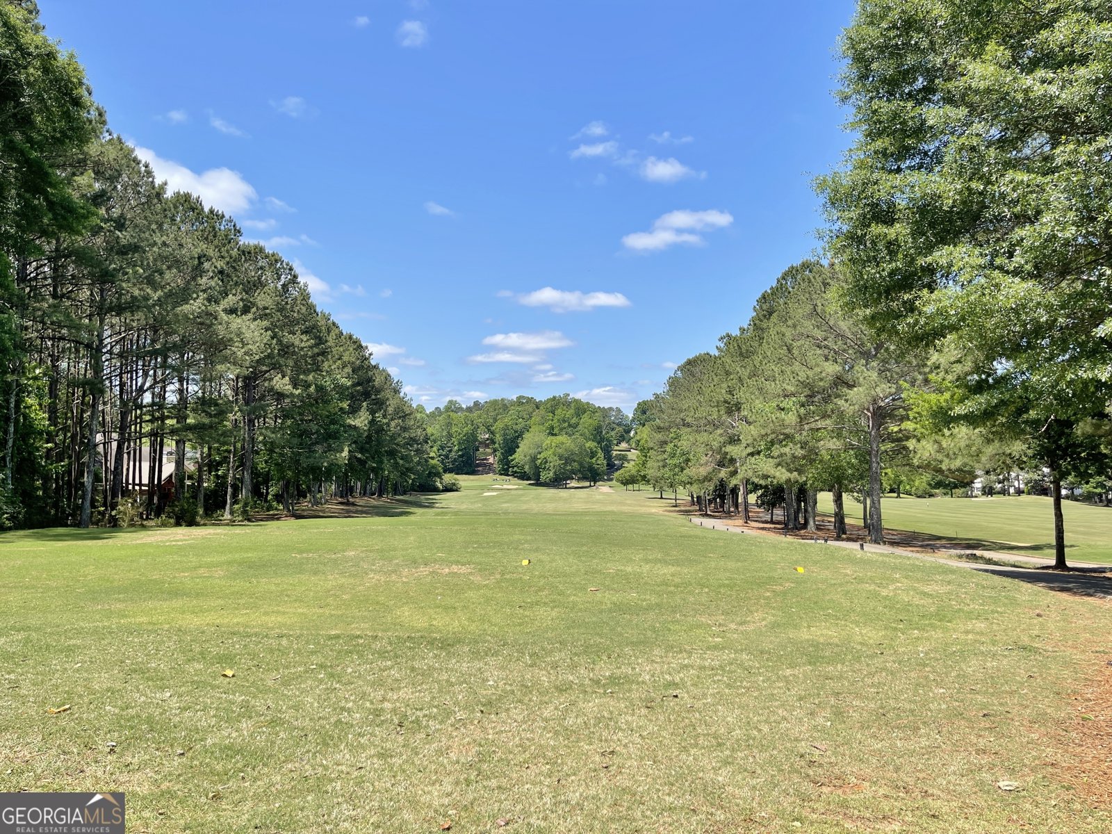 119 Greenview Drive Newnan - Photo 62