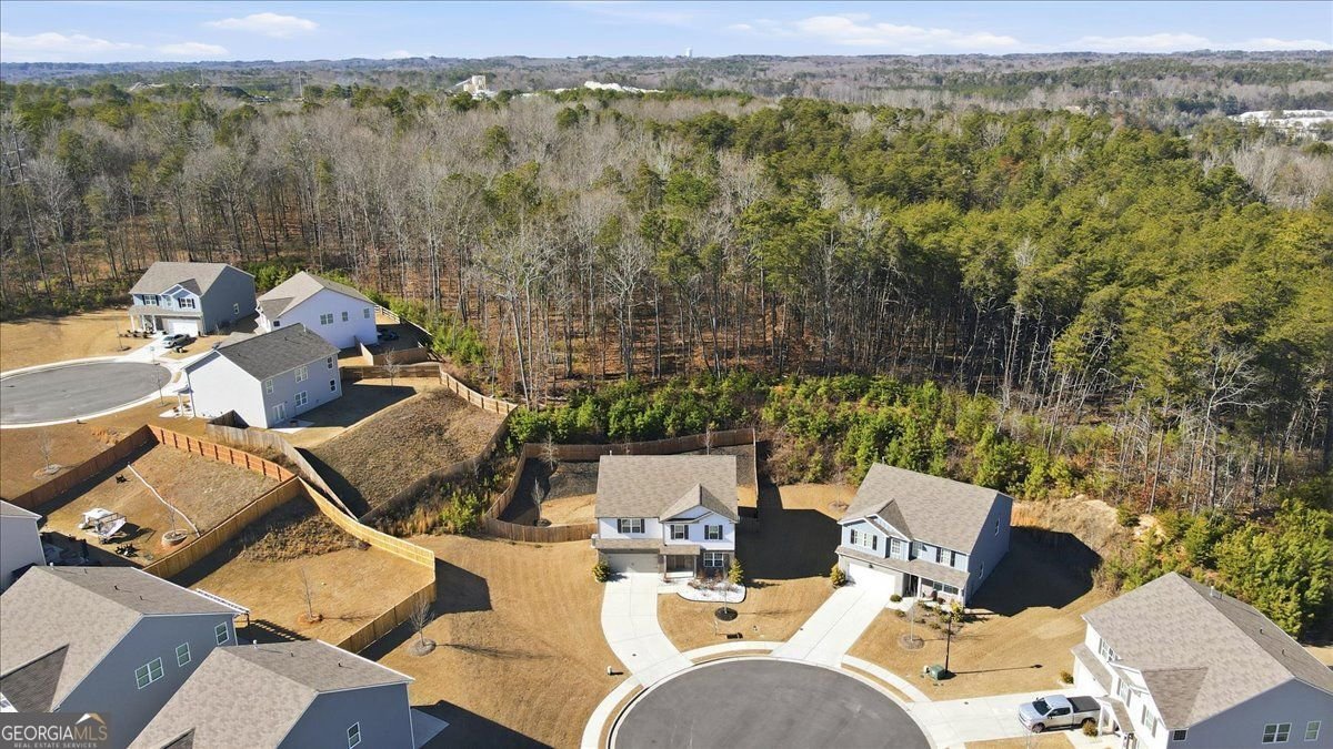 7946 Hansell Court Lithia Springs - Photo 52