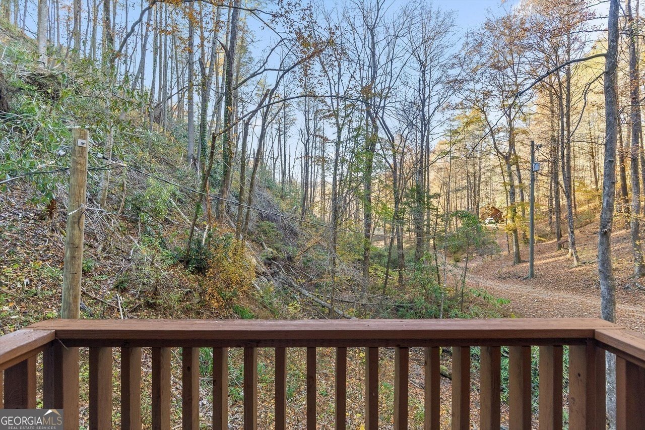 180 Cohutta Forest Road Ellijay - Photo 25