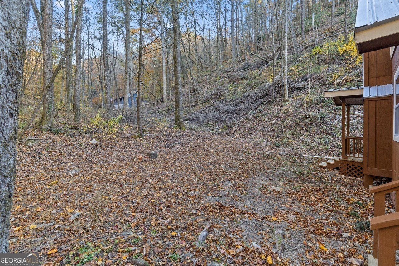 180 Cohutta Forest Road Ellijay - Photo 28