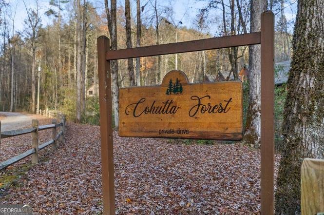 180 Cohutta Forest Road Ellijay - Photo 38