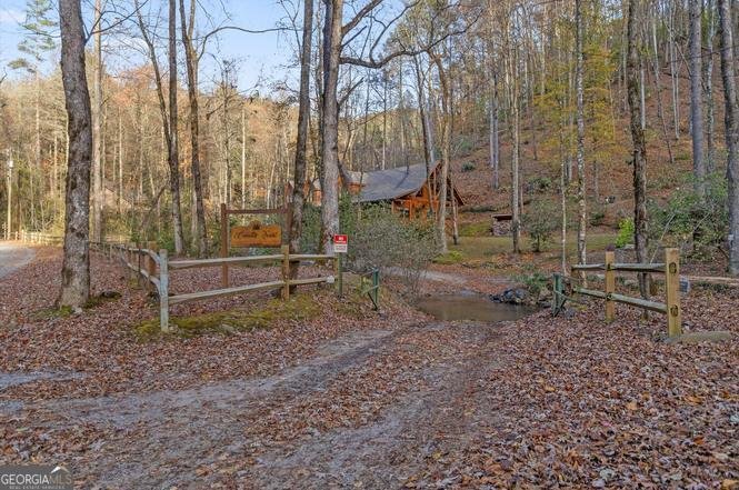180 Cohutta Forest Road Ellijay - Photo 39