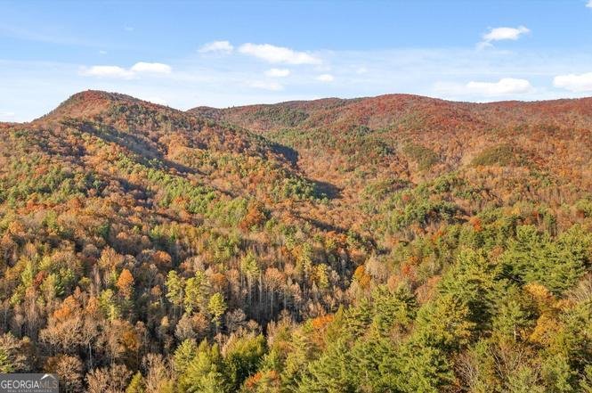180 Cohutta Forest Road Ellijay - Photo 41