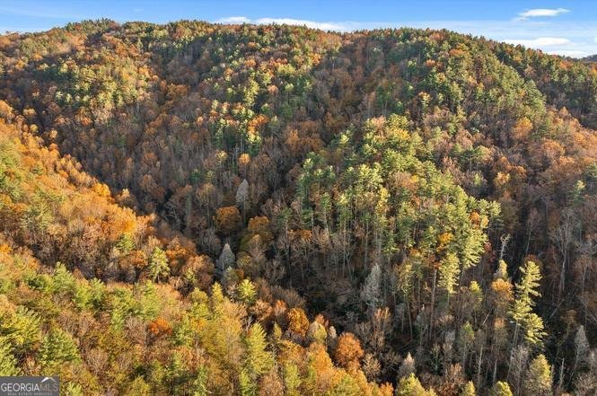 180 Cohutta Forest Road Ellijay - Photo 42