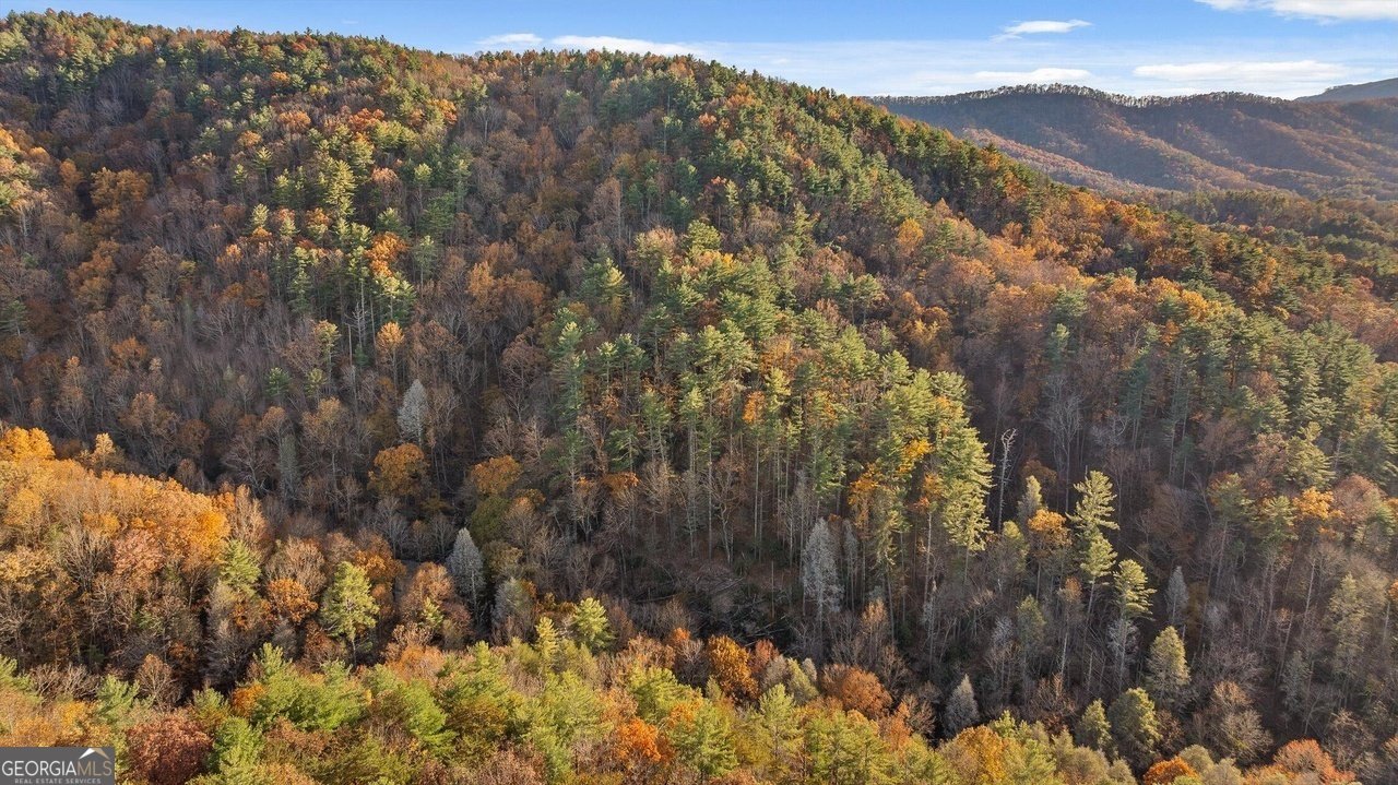 180 Cohutta Forest Road Ellijay - Photo 43