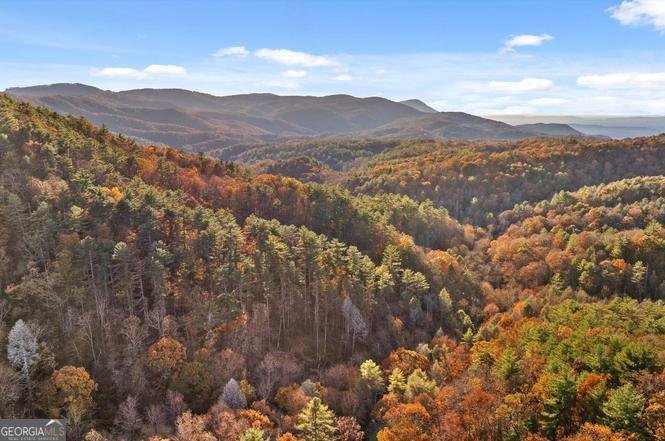 180 Cohutta Forest Road Ellijay - Photo 45